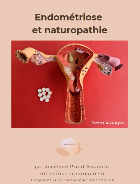 endométriose-naturopathie-couverture-ebook