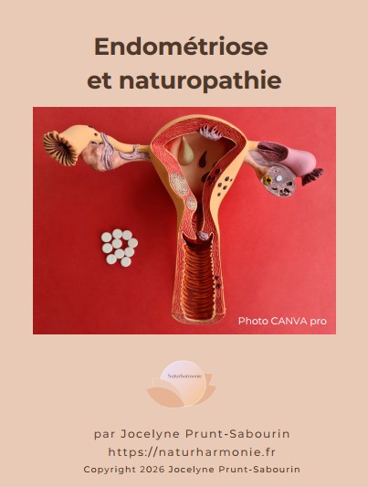 couverture ebook endométriose naturopathie appareil reproducteur feminin approche naturelle