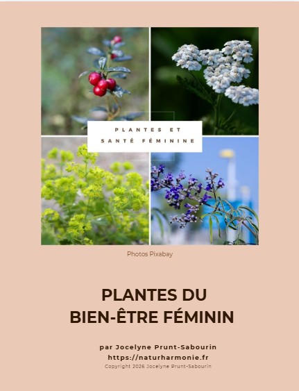 Ebook plantes du bien-être féminin Couverture ebook plantes du bien-être féminin par Jocelyne Prunt-Sabourin