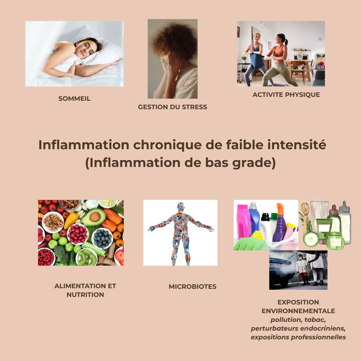 Facteurs impliqués dans l'inflammation chronique de faible intensité Infographie illustrant les facteurs pouvant influencer l'inflammation chronique de faible intensité : sommeil, stress, activité physique, alimentation, microbiotes et environnement.